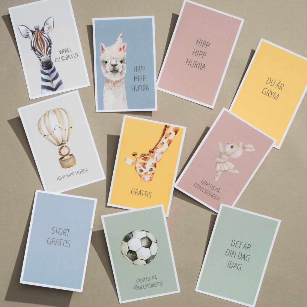 Tillkassan_bursdag2_7