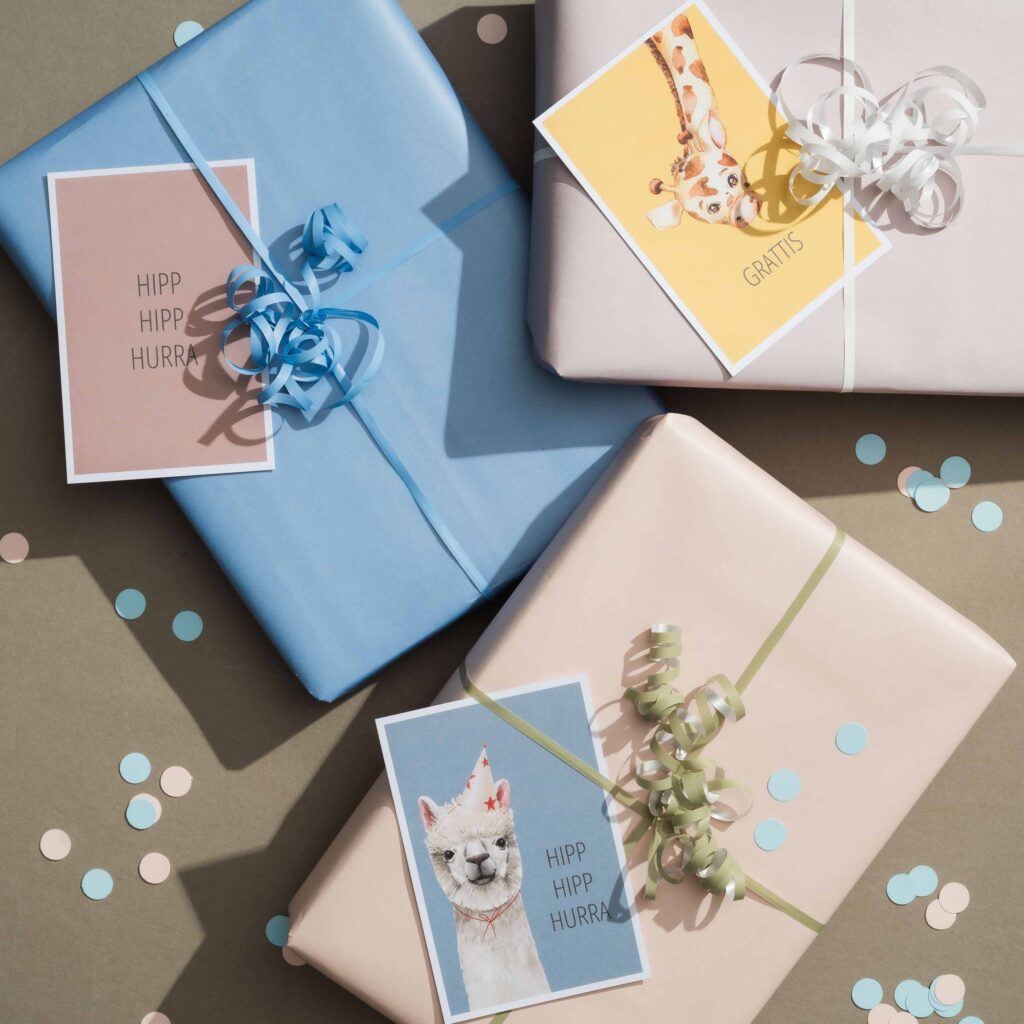 Tillkassan_bursdag2_8