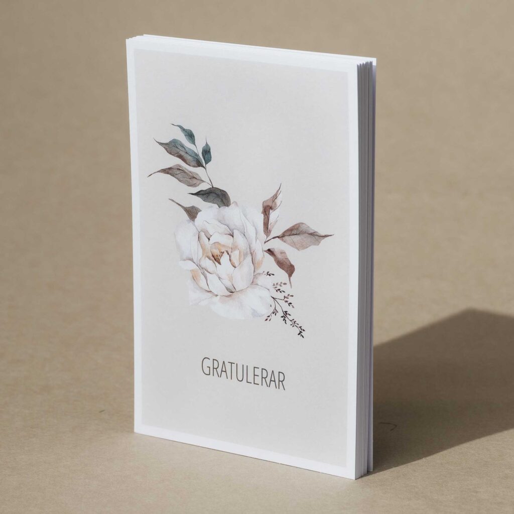 Tillkassan_anledning1_4